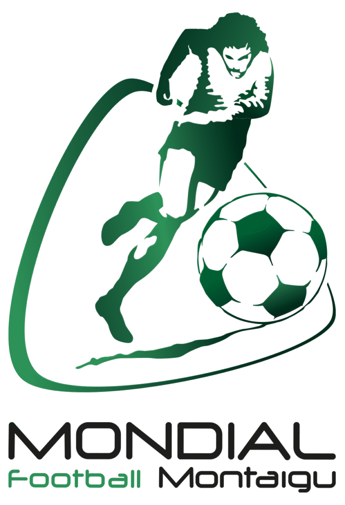 COUPE DU MONDE 2026